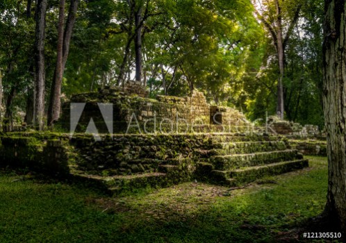 Bild på Ruins of residential area of Mayan Ruins - Copan Archaeological Site Honduras